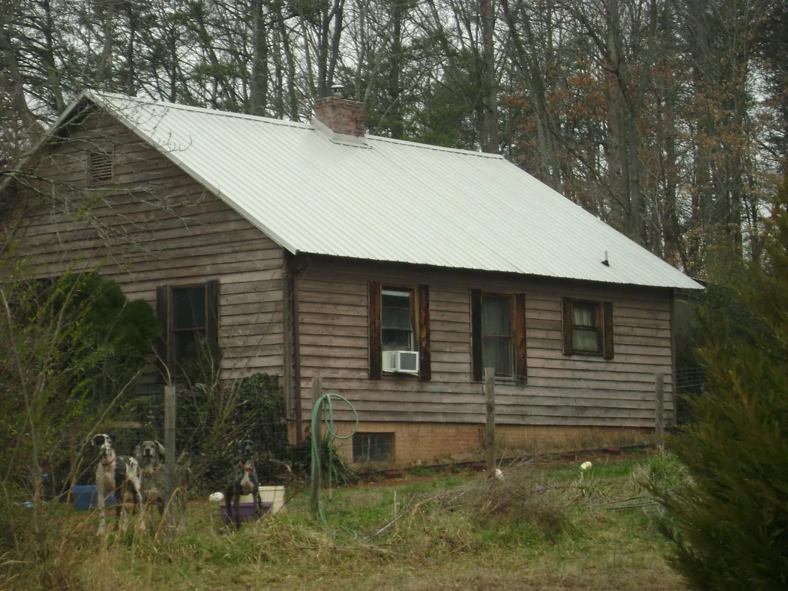 White metal roof on an old wood sided farmhouse, from a Asphalt Shingle Roof Repair job in Laughlintown